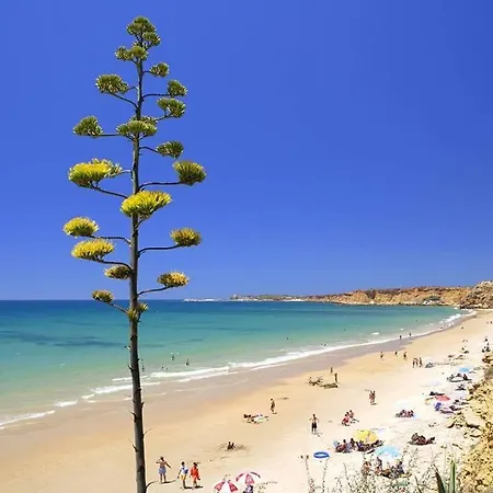 Appartamento Tres Piedras *