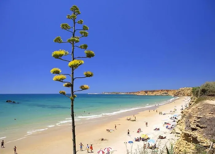 Apartamento Tres Piedras *